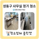 클린캣 청소업체