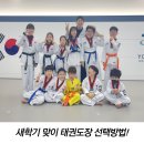 용인대 현성태권도장 이미지