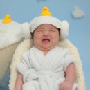 애니 스튜디오 이미지