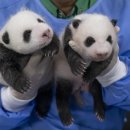 테크노랜드공인중개사사무소 이미지