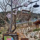 삼밭협동조합 | 거제시 마전7길 장승포항 삼밭카페공원 거제도가볼만한 곳