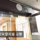 은영노인요양시설 | [부천 요양원/추천/후기/가격] 노인요양시설 고향 부천 상동 10년 신뢰 요양시설