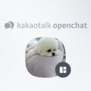 쁘띠애견미용실 이미지