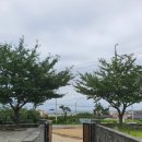 문동240 이미지