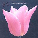 행운여인숙 이미지
