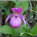 바우농장 이미지