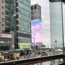 구남식당 | 부산 해운대 조개구이 맛집 조개구남 내돈내산후기ㅣ삼단가리비