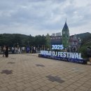 선택적 I의 월디페 2025 후기 (1년치 도파민 full충전, 휴족시간 필수 ^-^)