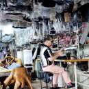 백합세탁소 이미지