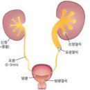 서울병원(응급실)