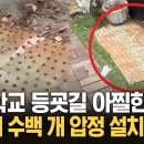 등굣길에 설치된 의문의 장판 수백 개 '압정'들 설치 깜짝 이미지