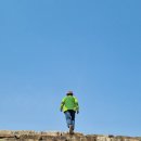 박종수농장 | 거돈사 이야기