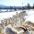 황주목장 이미지