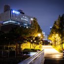 마포새빛문화숲 | 마포 가볼만한곳, 마포새빛문화숲 산책로 &amp; 주차장 정보 총정리_여의도 불꽃축제 숨은 명당