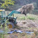 황골농장 이미지