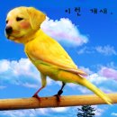 리(RE) 이미지