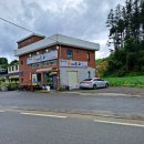 연신오리 이미지