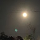 매향 오토 캠핑장 이미지