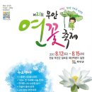 무안-8 이미지
