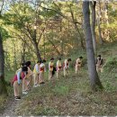 태권도 골든로드 이미지