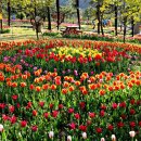 하늘빛계곡 이미지