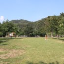 비발디 캠핑파크
