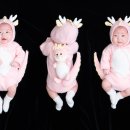 하루니스튜디오 이미지