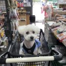 중리공단로1길 이미지