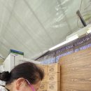 거산약품 이미지