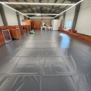 댕댕애견 이미지