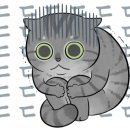 H1711 이미지