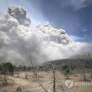 제2 관용농장 연합뉴스