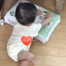 우직조 | 기저귀추천 - 열종류 이상 내돈내산으로 써보고 정착한 후기 (한국,유럽 기저귀 비교)
