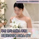 대한장식 | 부산 실크드레스 추천 ㅣ 드벨르마리에 본식 오간자실크 드레스 진주베일 헤어장식 후기