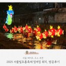 초롱별 | 서울데이트코스추천 ⎟ 청계천 서울빛초롱축제 잉어킹 위치, 방문 후기