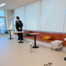 소중한아이들유치원 | 속초 애견동반 여행의 쉼표, '차멍펫' 애견유치원 데이케어 솔직 이용 후기