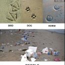 사람 그리고 새 이미지