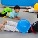 청룡태권도장 이미지