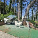 욕지도펜션리조트 이미지