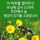수지상사 이미지