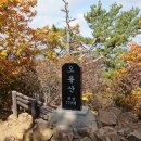 2024-주210 이미지