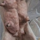 유성동양경매장 이미지