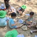 은석초등학교 병설유치원 이미지