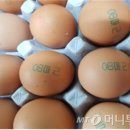 벧엘농장 이미지