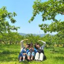 수봉농장 이미지