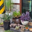 밥먹고 | 울산 언양 맛집 바른한상에서 곤드레밥한상 먹고 온 후기