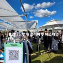 금호그랜드(그밖의 대규모) | [서울 노들섬]2025 번개 플리마켓 페스티벌,음악&amp;음식과 함께한 고퀄리티 중고거래(ft.이하이,로꼬)