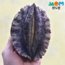신선맘 | 완도맘 완도 활전복 1kg 특대 사이즈로 즐기는 신선한 산지직송 후기