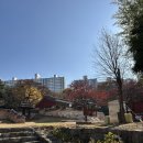 신성서원 | 아기와 함께하는 용인 단풍 구경 심곡서원|가을 나들이 후기
