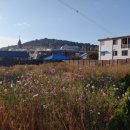 수원-1794 이미지